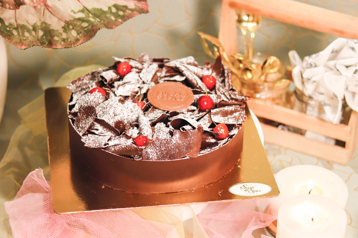 Black Forest Torte 🟢
