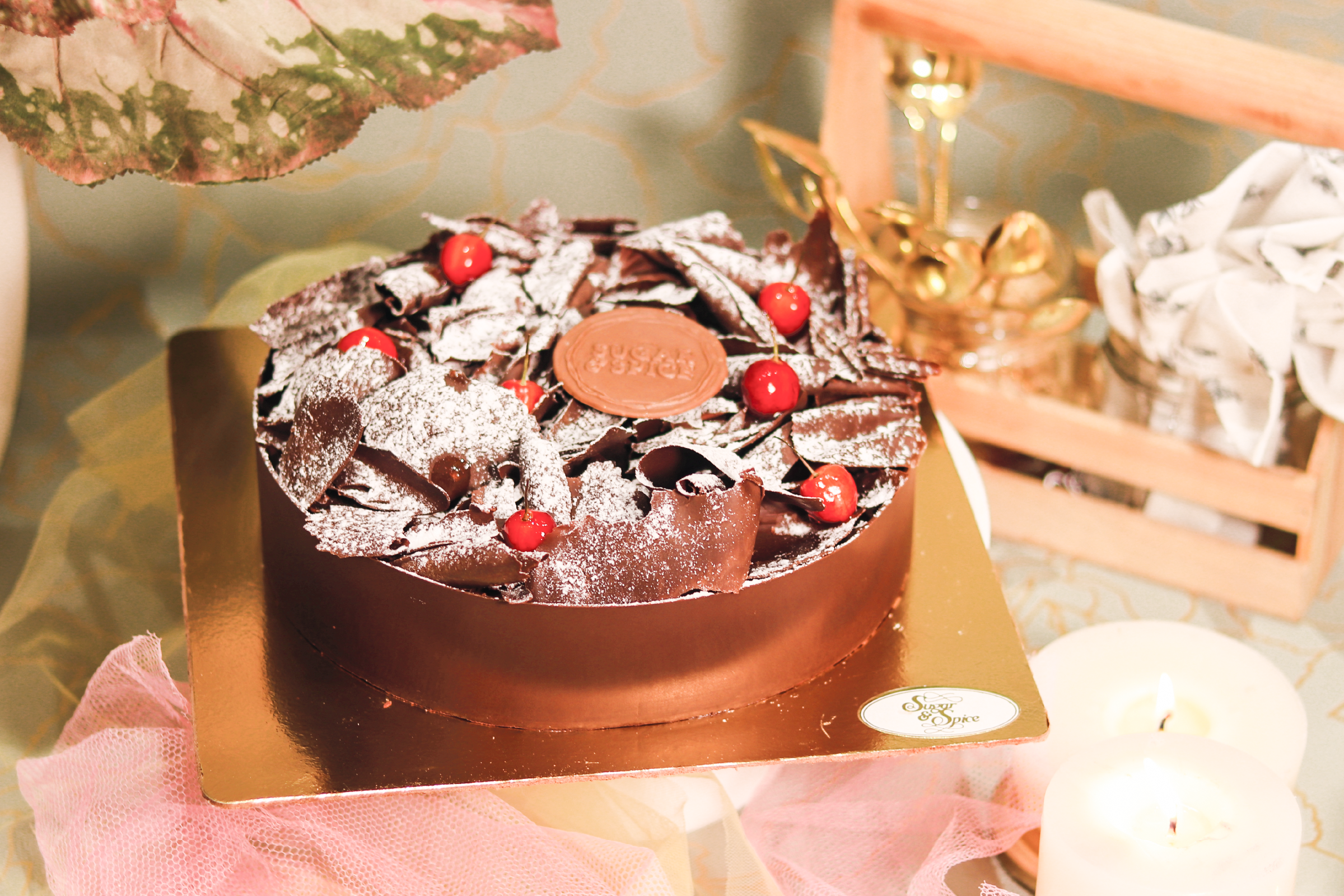 Black Forest Torte 🟢