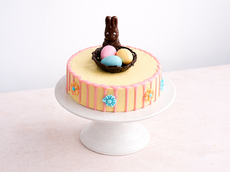 Cocoa Nest Cake 🟢